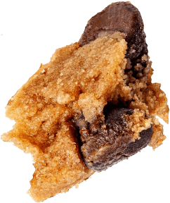 Cookie Crumb 1